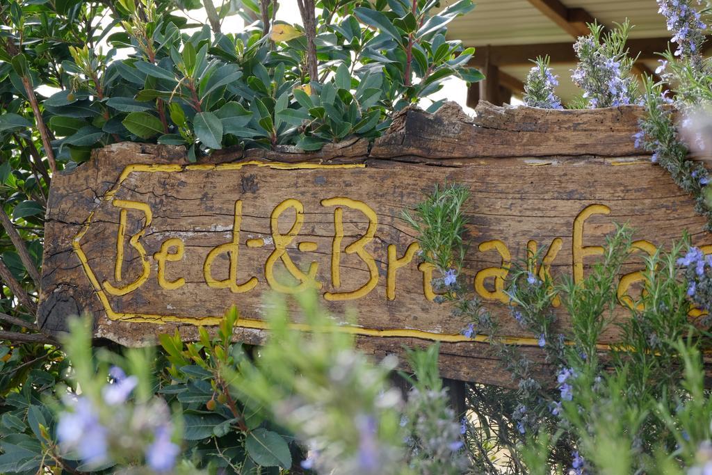 B&B Podere Ospedaletto Bolsena Exterior photo